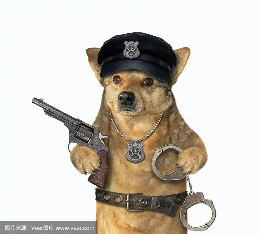 带着左轮手枪和手铐的警犬