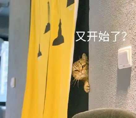 假笑的猫咪近期斗图表情包精选斗图表情