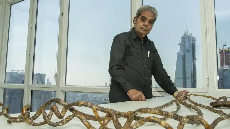 世界最长指甲(世界最长指甲的人图片)