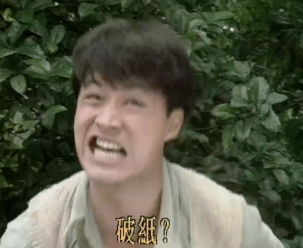 马景涛咆哮表情包