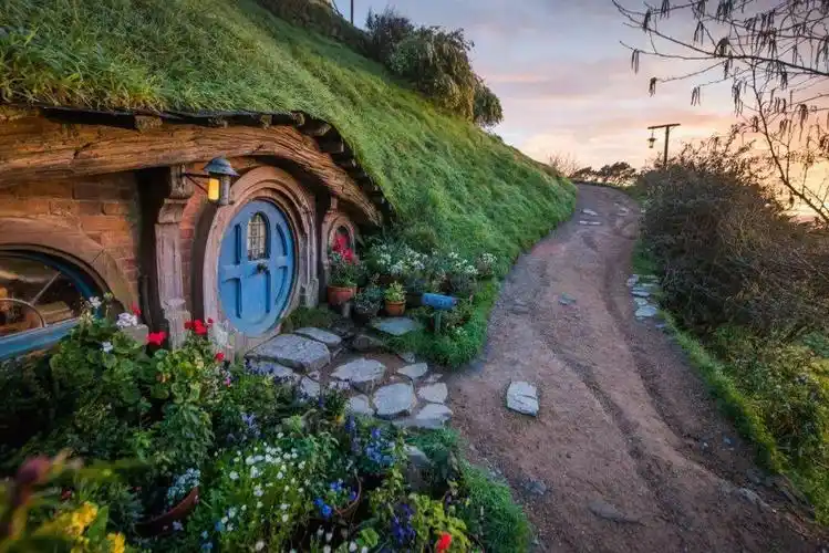 新西兰太美待疫情过后去否