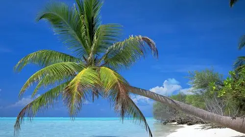 美丽海滨蓝色风光桌面壁纸