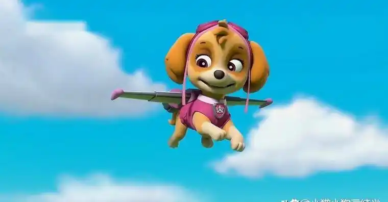 汪汪队10个成员介绍(汪汪队里面狗的名字和品种)