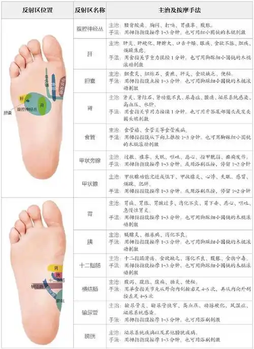 足部反射区及按摩手法||图1-5为足底反射区及相对应的主治按摩手法