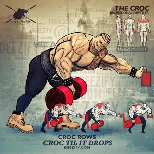 不一样的背部训练图解! 来自健身与肌肉 - 微博