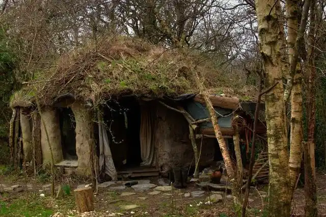 女子取得博士学位后远离城市,隐居深山老林过上原始生活