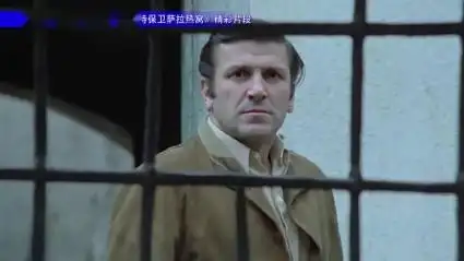 我喜爱我推荐 电影《瓦尔特保卫萨拉热窝》精彩片段 01