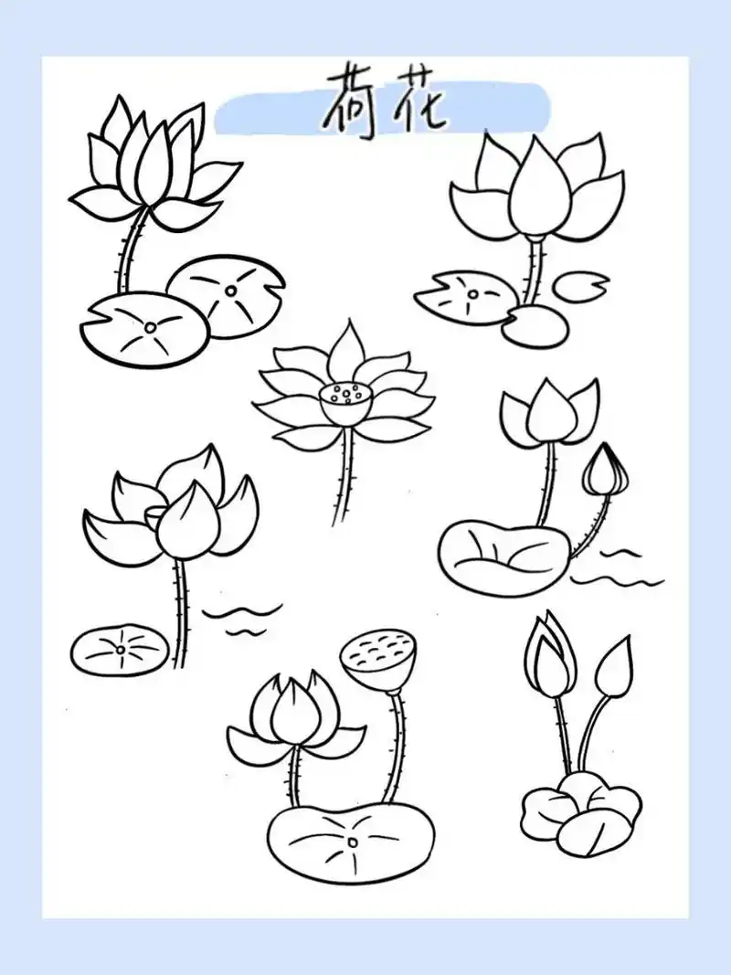 简笔画|荷花38/100 荷花急得 轻轻邹起了眉头 荷花不知道 自己就是