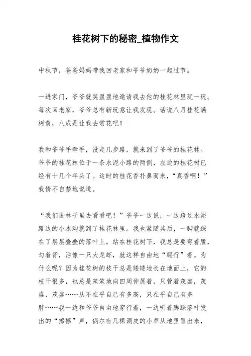 2021年桂花树下的秘密植物作文
