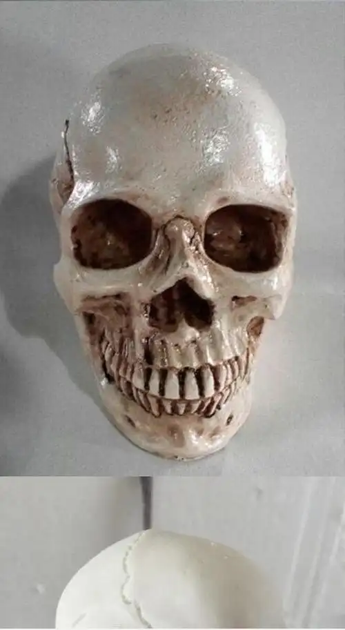 头骨模型1:2仿真骷髅头模型肌肉迷你素描艺考美院教学美术参考1:1头骨