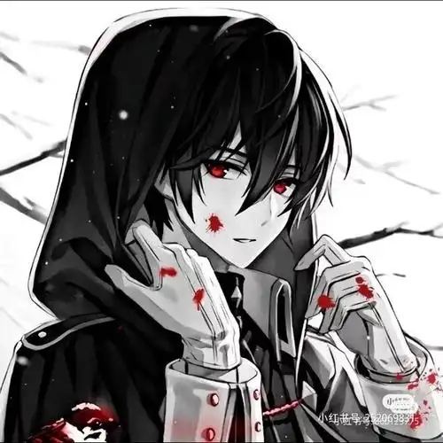 光暗兄弟头像两个人