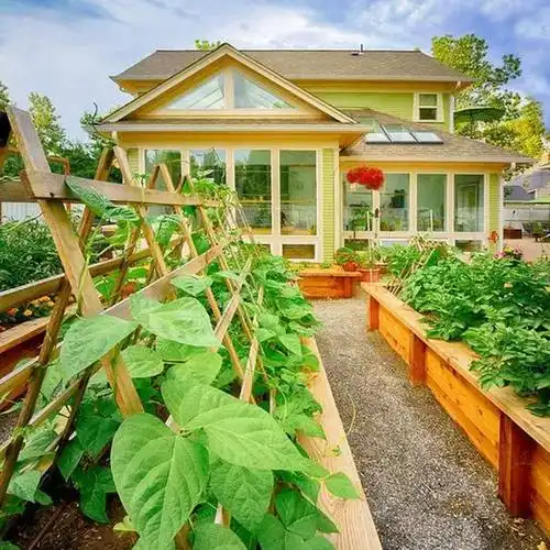 【别墅菜园】小创意打造大惊喜