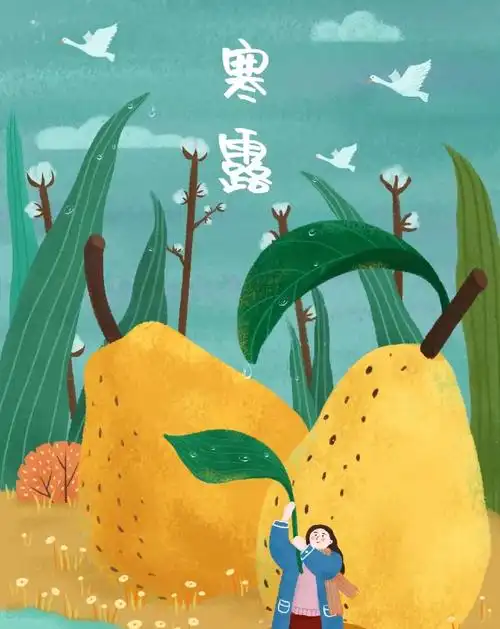 寒露轻寒正是可人天