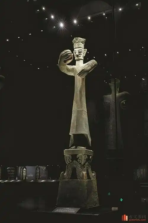 考古挖出"愤怒的小鸟"钢盔猪