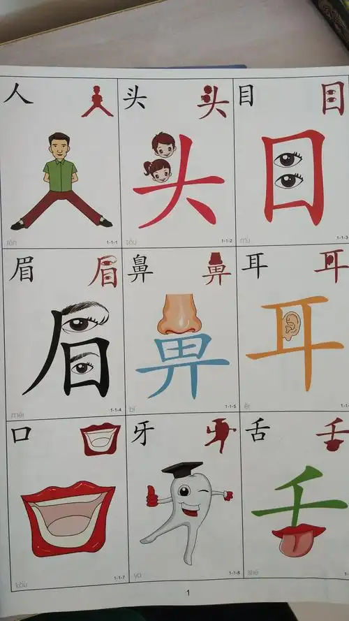 字宝宝