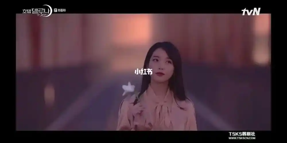 三刷完德鲁纳酒店喜欢这个开放式结尾