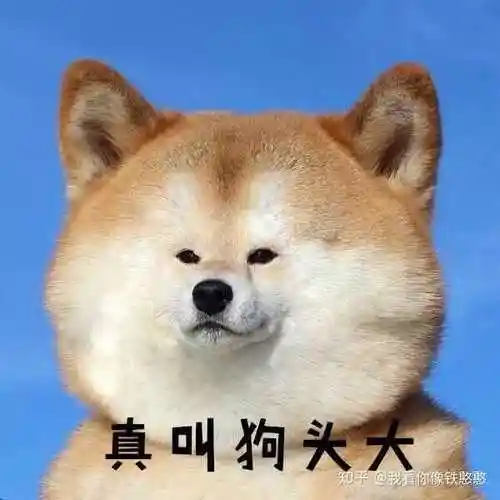 狗头表情什么梗