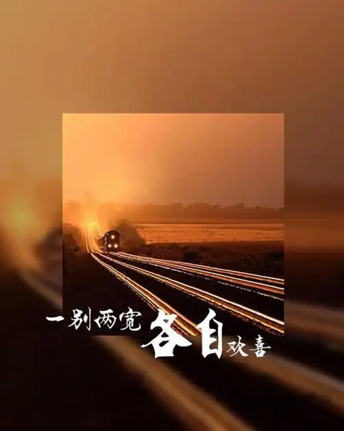 该放手时就放手,别让家暴毁了你