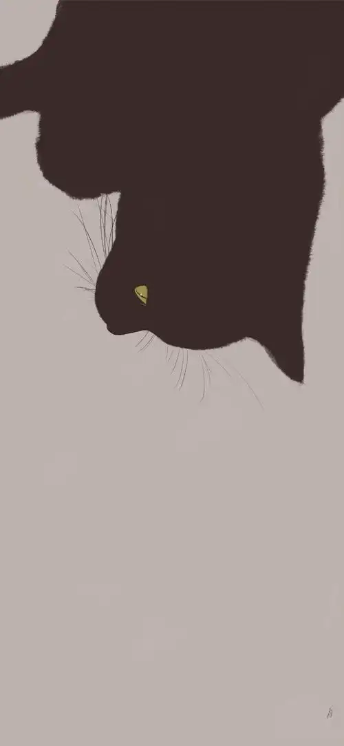 手机壁纸高冷的喵星人