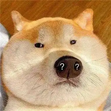 搞怪的动物头像图片大全搞笑