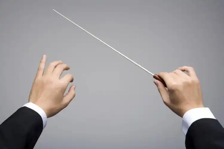 仅一个男性,表演,握,灰色背景,服装,指挥棒,音乐,指挥,扮演,背面,手势