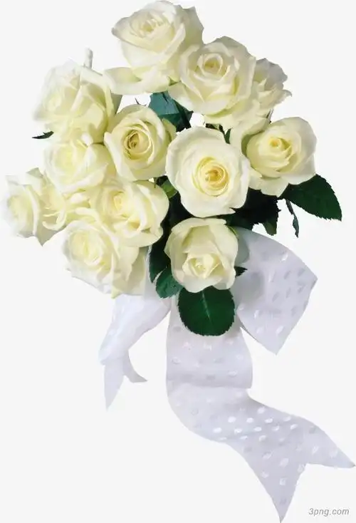 一束香槟色玫瑰花png素材透明免抠图片-动植人物