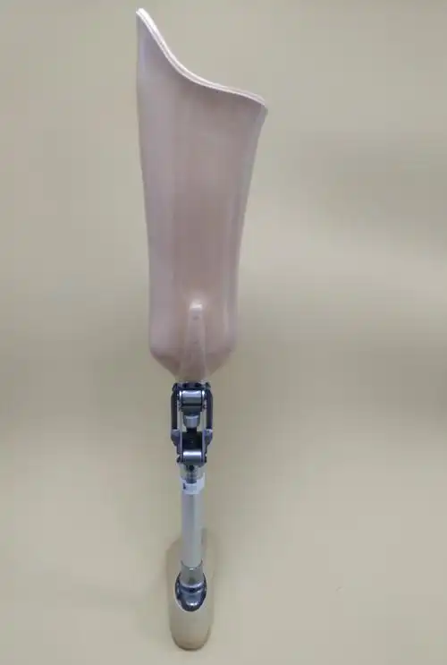 辅具目录 肢体类辅具 下肢假肢 膝部假肢 膝离断假肢