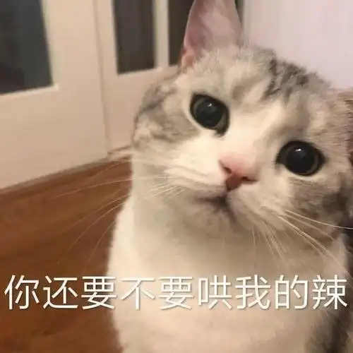 撩男朋友表情包50张又污又可爱情侣表情包