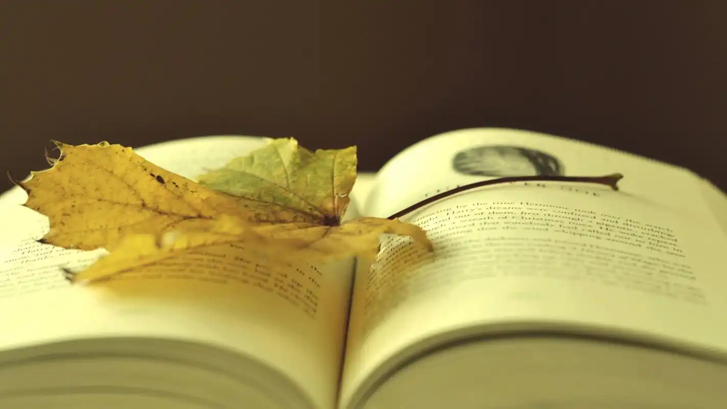 清新淡雅书本文艺风格桌面壁纸下载 第一辑