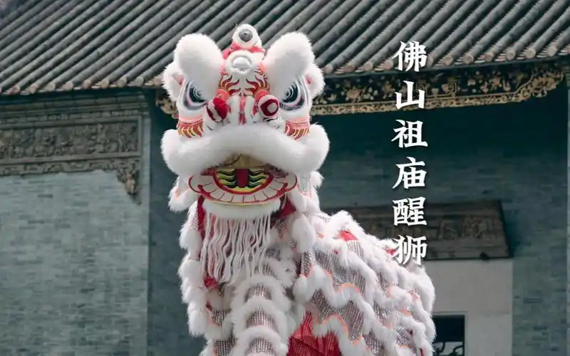 总要来趟佛山吧,体验岭南文化,看醒狮表演