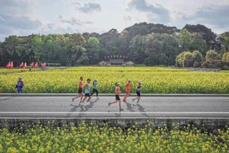 燃林丹领跑近5000人齐聚上杭红古田半程马拉松赛