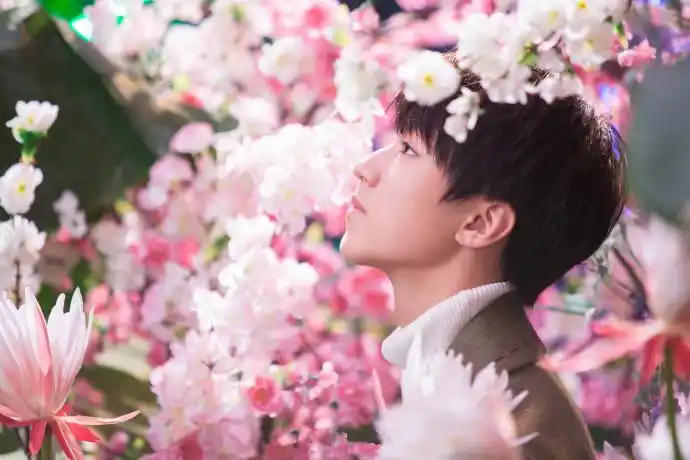 王俊凯帅气时尚壁纸_偶像少年王俊凯