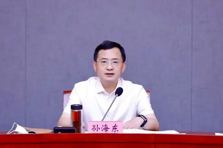 滨湖区委书记孙海东紧扣发展第一要务坚持创新第一动力