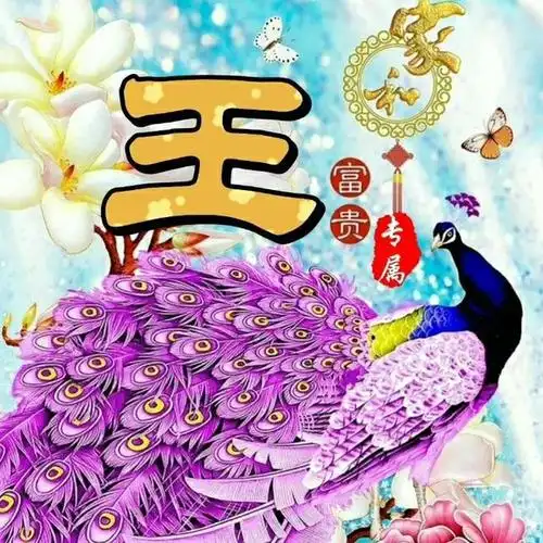 53张姓氏微信头像,个性设计,让你与众不同