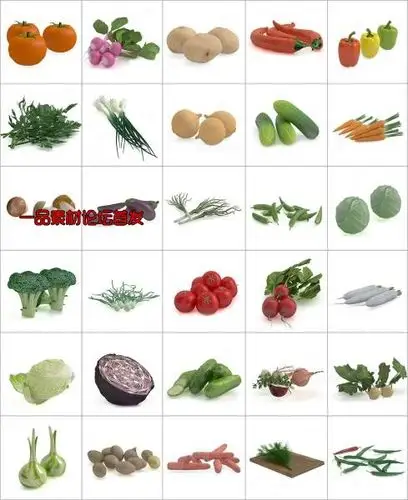 100个精品 蔬菜模型-一品素材单体模型库下载