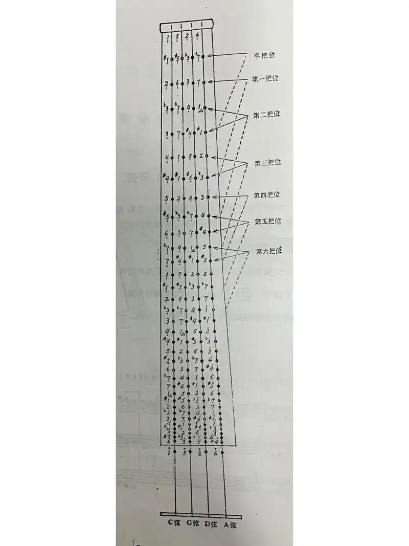大提琴把位图 有高音谱号,低音谱号,次中音谱号五线谱对应着把位图