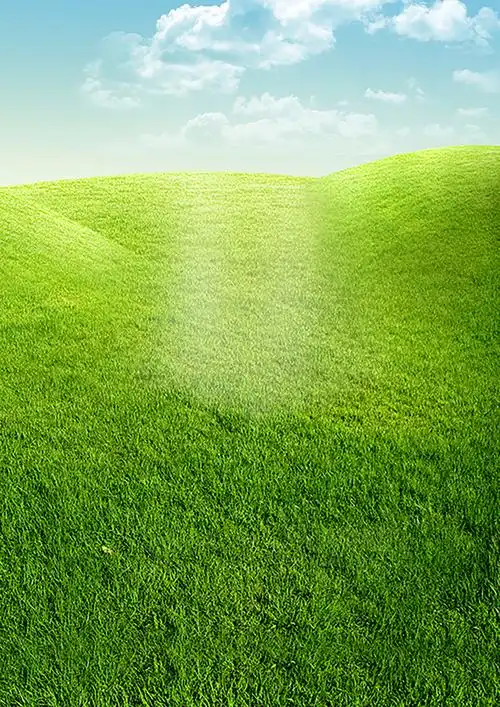 绿色草地背景背景素材免费下载(图片编号:8735075)-六图网