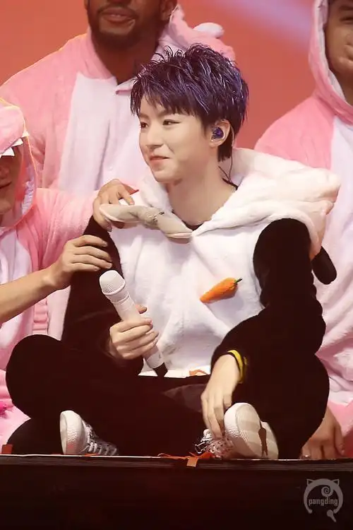 tfboys-王俊凯  cr.  logo  回望