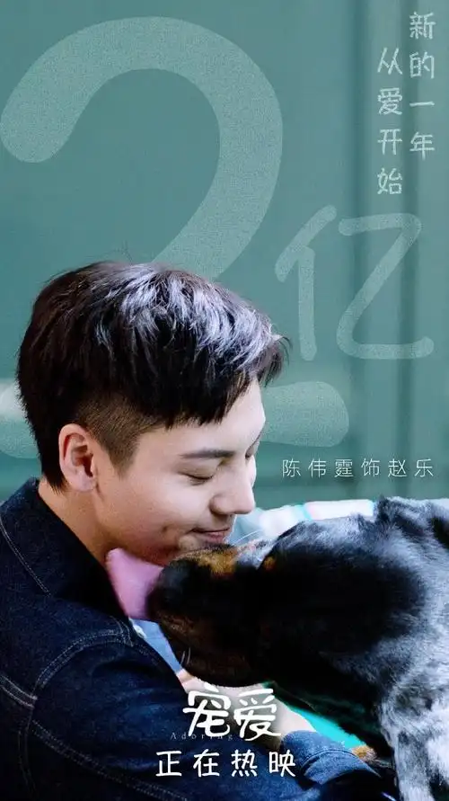 宠爱票房破4亿#宠爱票房破4亿非常好看的一部暖心电影陈伟霆泪别豪七