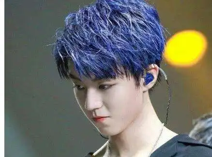 蔡徐坤的奶奶灰vs王俊凯的星空紫网友社会人