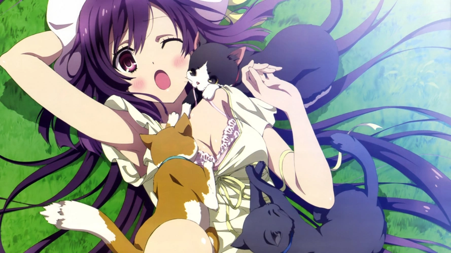 动漫游戏大壁纸-堆糖,美好生活研究所