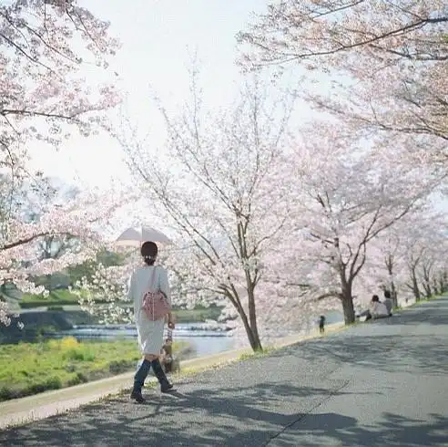 静是一种豁达唯美意境少女背影图片