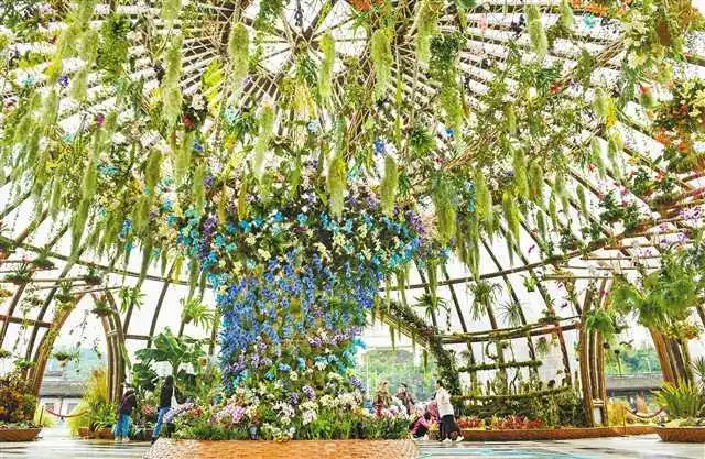 10月20日—29日,中国(重庆)第三届长江上游城市花卉艺术博览会(简称