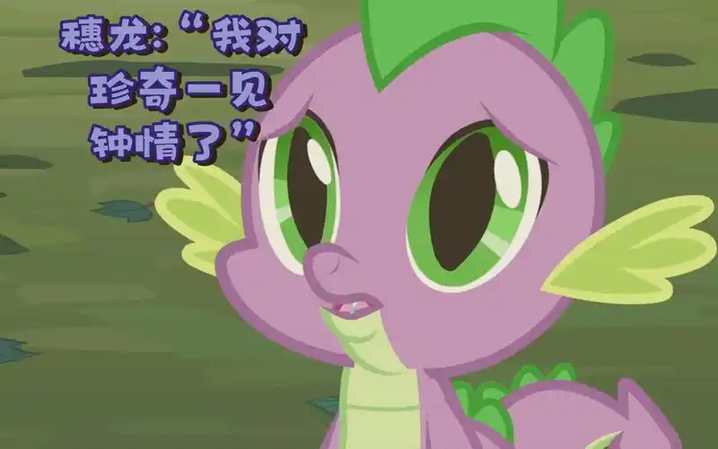 穗龙:"我对珍奇一见钟情了"