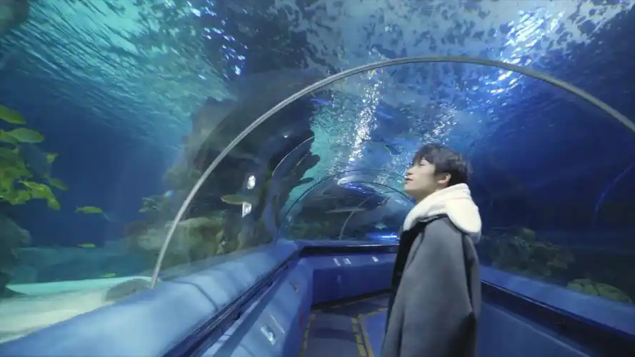 梓渝海洋馆历险记