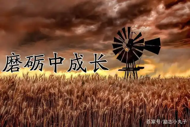 在磨砺中成长,处处有惊喜!