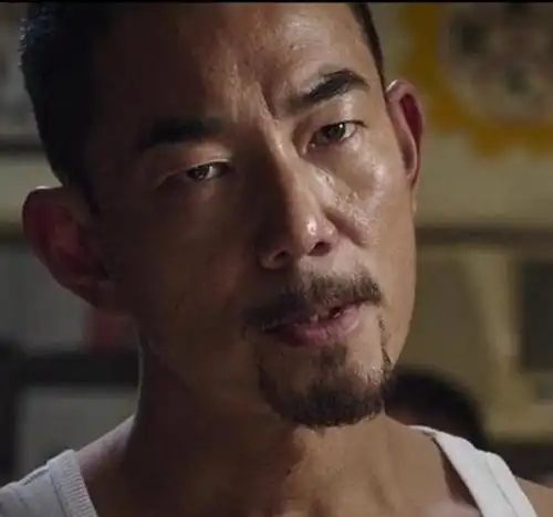 图任贤齐电影树大招风内容简介饰演反派三大贼王飙演技