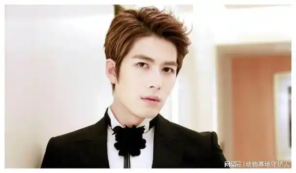 出道十年代表作全被下架生病却被传退圈网友陈学冬太惨了