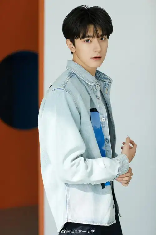 林一质感胶片大片