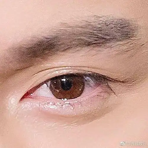 胡歌的眼睛是标准桃花眼吧